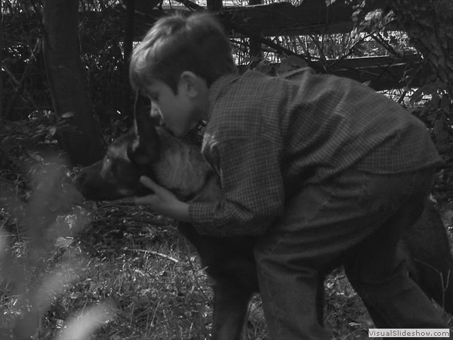 Little David playing with puppy